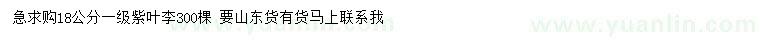 求購(gòu)18公分紫葉李