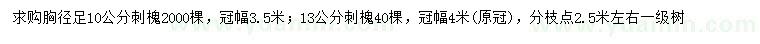 求購胸徑10、13公分刺槐