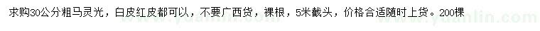 求購30公分馬靈光