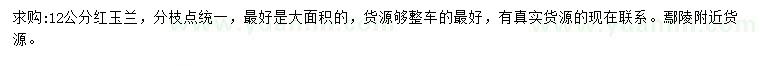 求購12公分紅玉蘭
