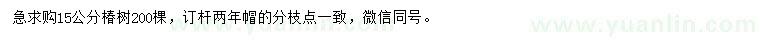 求購(gòu)15公分椿樹