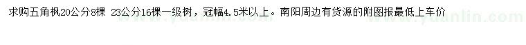 求購20、23公分五角楓