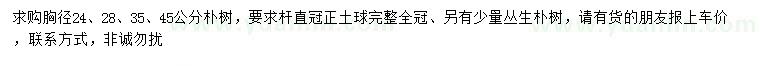 求購(gòu)胸徑24、28、35、45公分樸樹(shù)