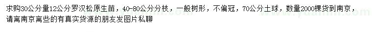 求購30量12公分羅漢松