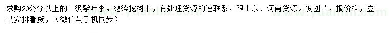 求購20公分以上紫葉李