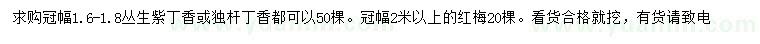 求購(gòu)叢生紫丁香、獨(dú)桿丁香、紅梅