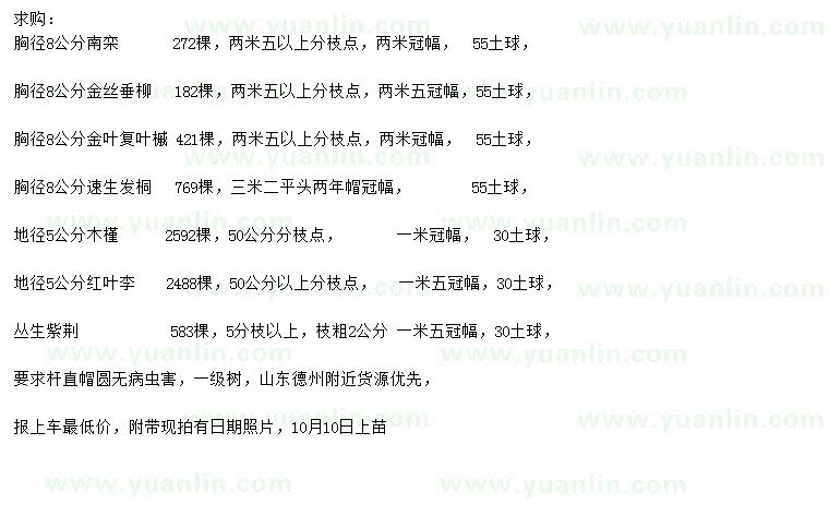 求購南欒 、金絲垂柳、金葉復(fù)葉槭等