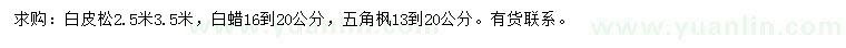 求購白皮松、白蠟、五角楓