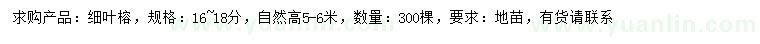 求購(gòu)16-18公分細(xì)葉榕