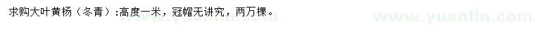 求購高1米大葉黃楊