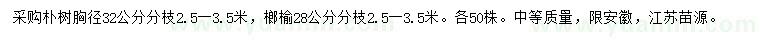 求購(gòu)胸徑32公分樸樹(shù)、28公分榔榆