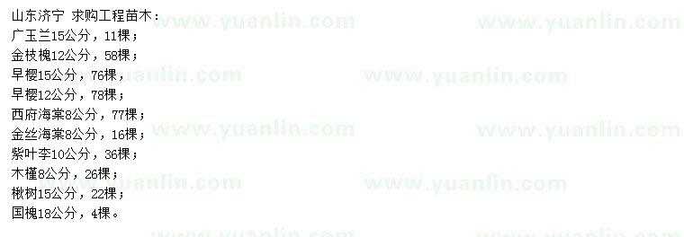 求購廣玉蘭、金枝槐、早櫻等