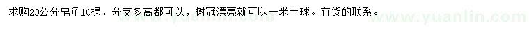 求購20公分皂角