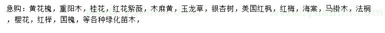 求購黃花槐、重陽木、桂花等