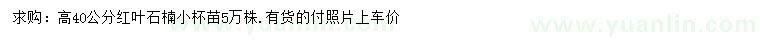 求購高40公分紅葉石楠