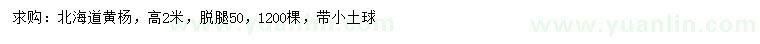 求購高2米北海道黃楊