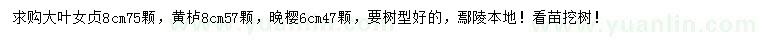 求購大葉女貞、黃櫨、晚櫻