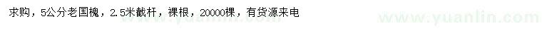求購(gòu)5公分老國(guó)槐