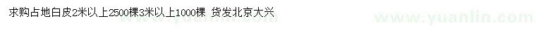 求購2、3米以上白皮松