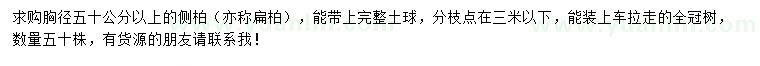 求購胸徑50公分以上扁柏