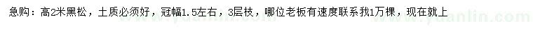 求購高2米黑松