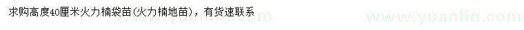 求購高40公分火力楠
