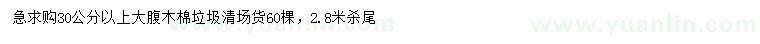 求購(gòu)30公分以上大腹木棉