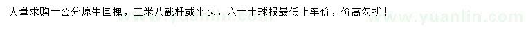 求購10公分原生國槐