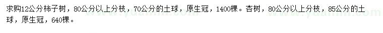 求購12公分柿子樹、杏樹