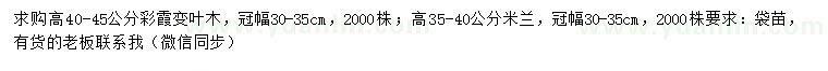 求購高40-45公分彩霞變?nèi)~木、高35-40公分米蘭