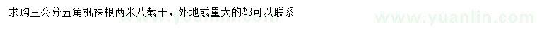 求購3公分五角楓