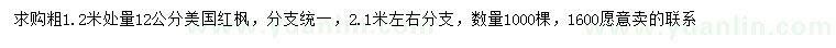 求購粗1.2米處量12公分美國紅楓