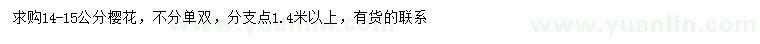 求購14-15公分櫻花