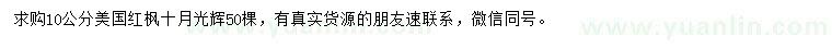 求購(gòu)10公分美國(guó)紅楓十月光輝