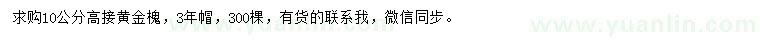 求購10公分高接黃金槐