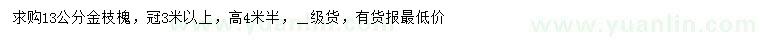 求購13公分金枝槐