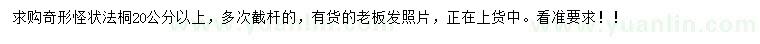 求購(gòu)20公分以上奇形怪狀法桐