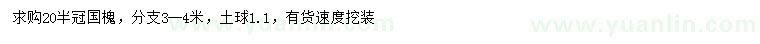 求購20公分國(guó)槐