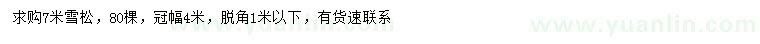 求購(gòu)7米雪松