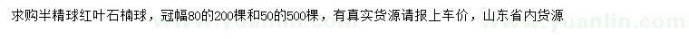 求購冠幅50、80公分紅葉石楠球