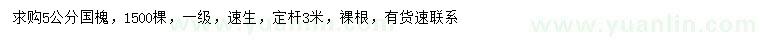 求購5公分速生國槐