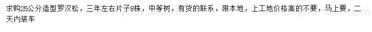 求購25公分造型羅漢松
