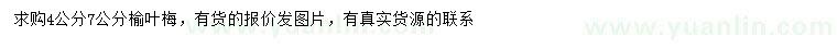 求購4、7公分榆葉梅