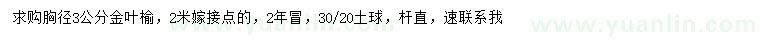 求購胸徑3公分金葉榆