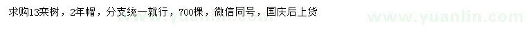 求購13公分欒樹