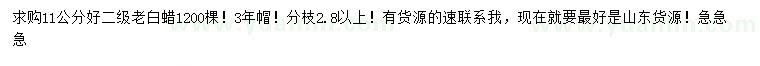 求購11公分老白蠟