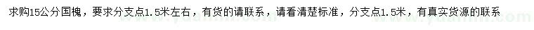 求購(gòu)15公分國(guó)槐