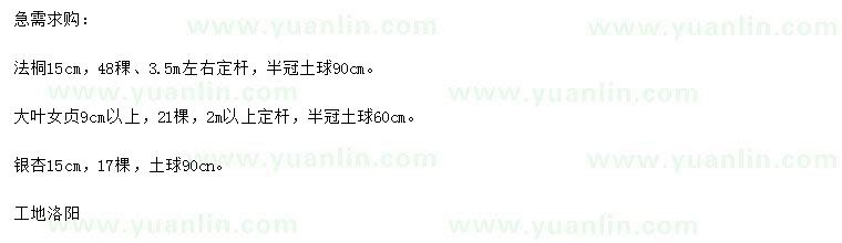 求購法桐、大葉女貞、銀杏