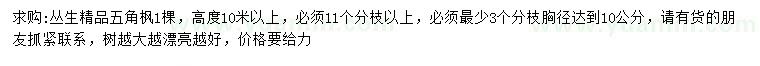 求購(gòu)高10米以上叢生五角楓