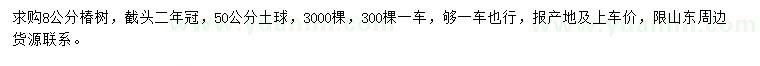 求購8公分椿樹
